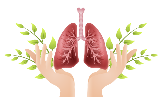 Respiratory System