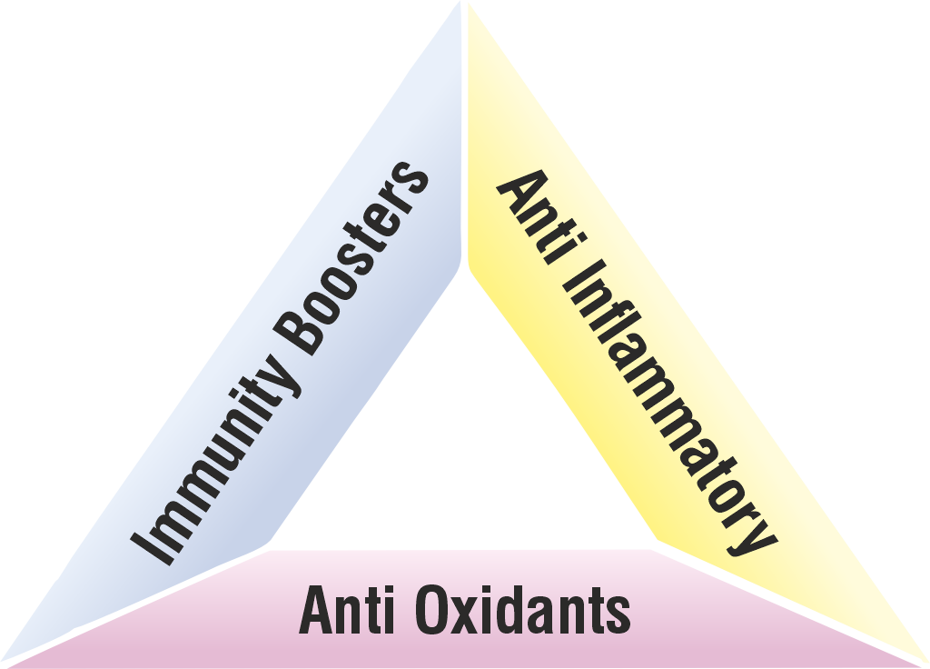 Respiratory Health Triangle
